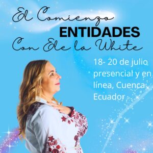 Julio 18 -  Hablando con las entidades. El comienzo
