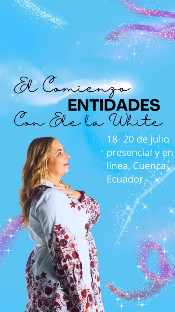 Julio 18 -  Hablando con las entidades. El comienzo